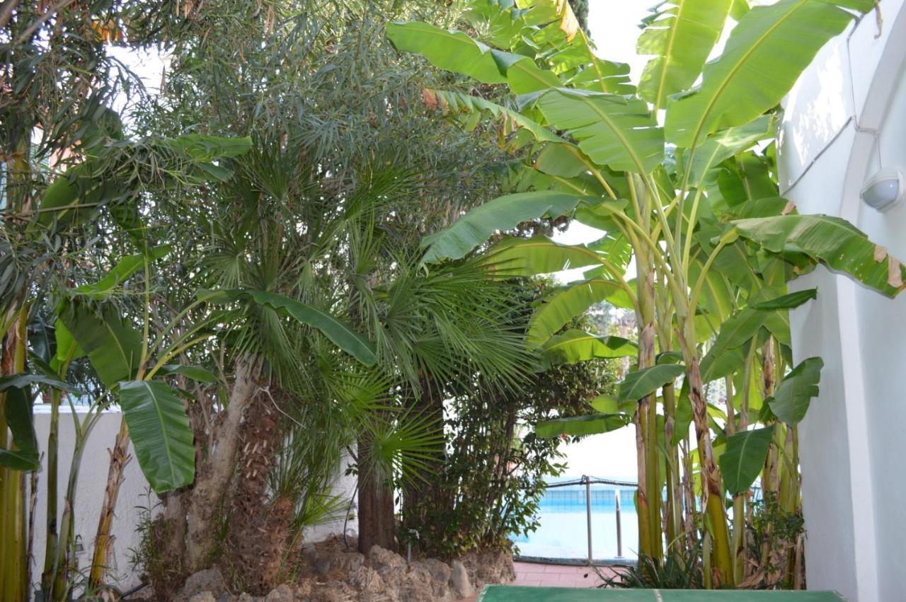 Apartamento Il Kent Isquia Exterior foto